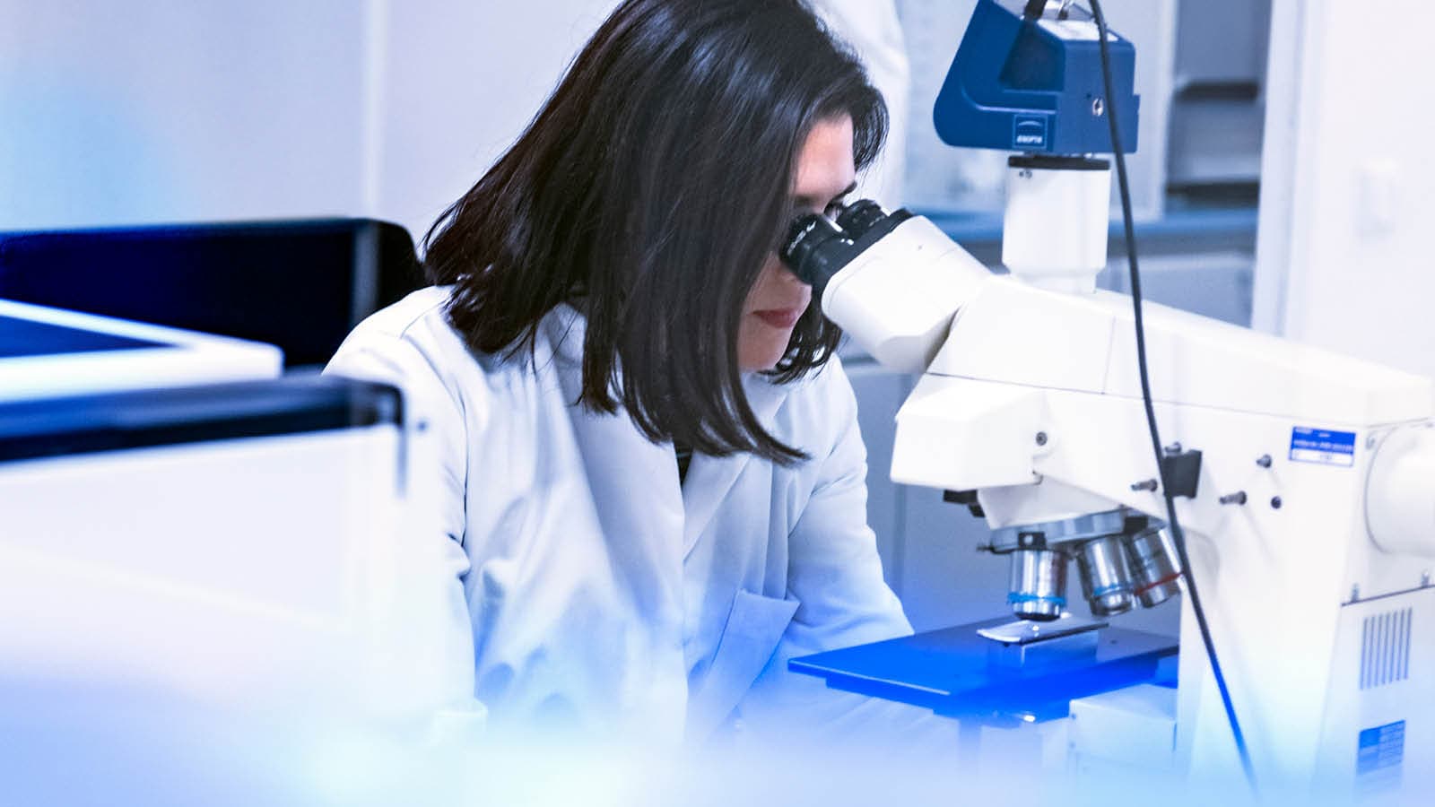 A woman is sitting at a microscope in a laboratory and examining a stainless steel half-shell.